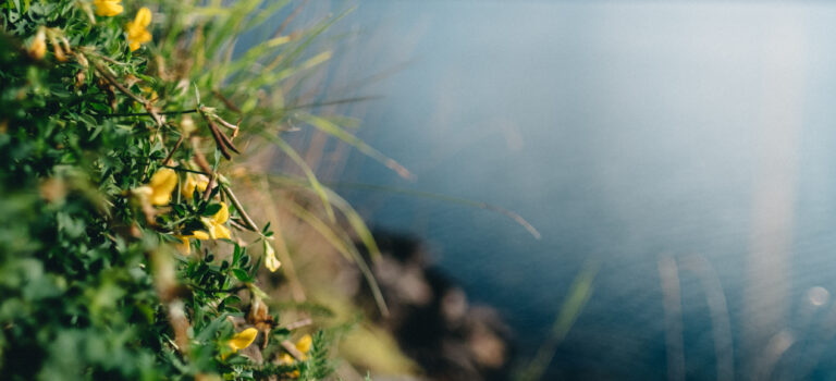 Nomil har fått nye nettsider